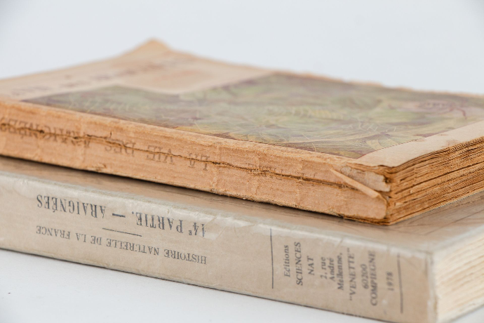 Livres anciens empilés