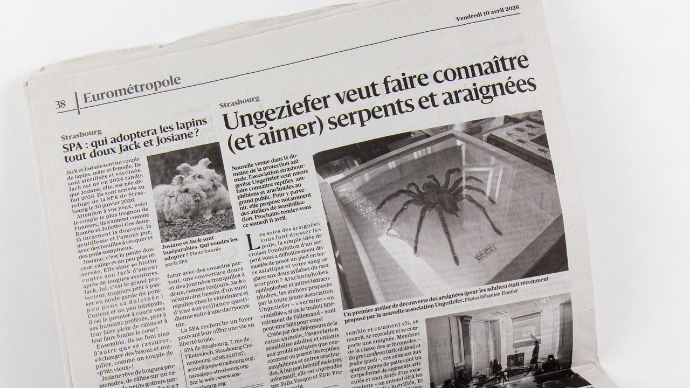 Prise de vu de l'article des DNA sur l'association Ungeziefer